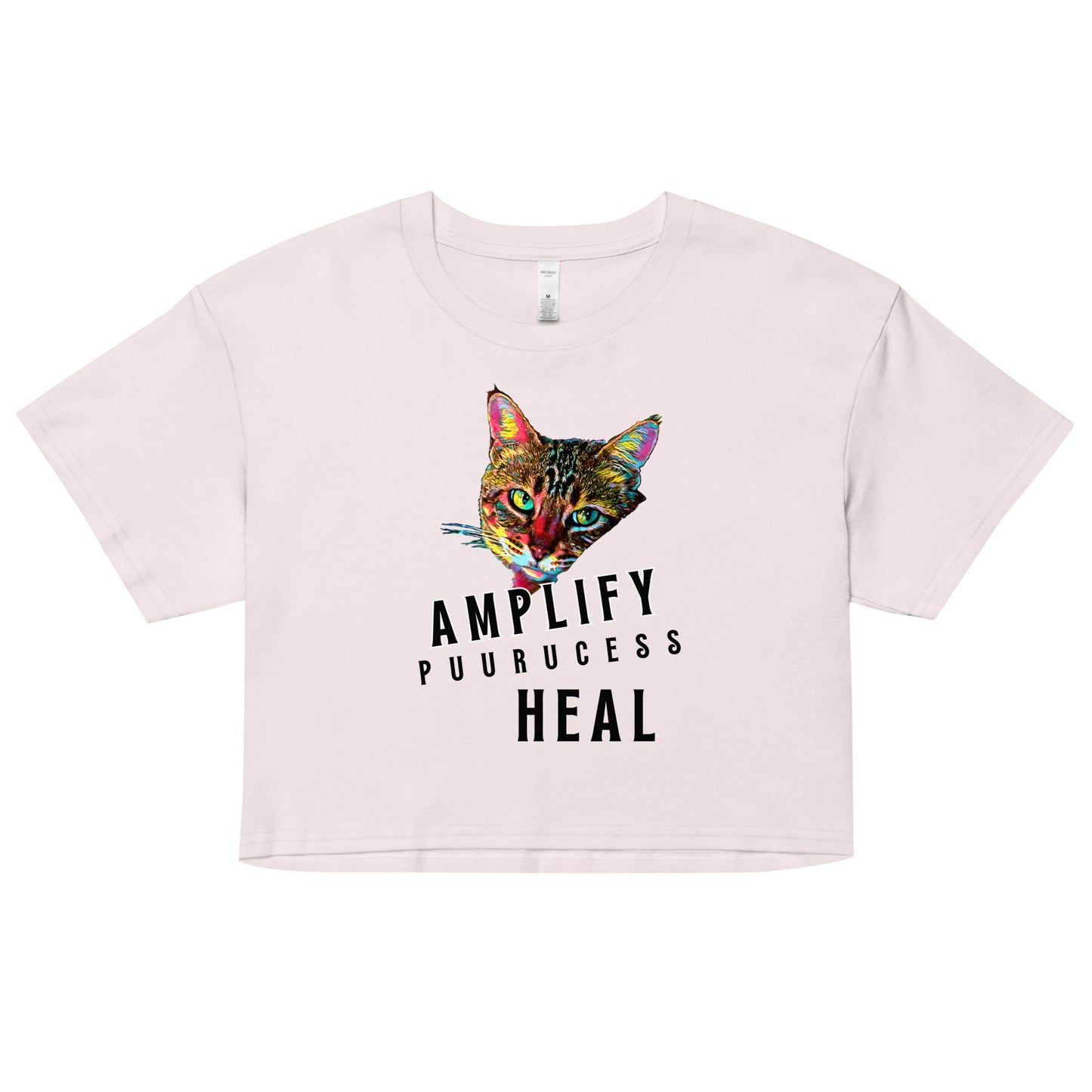 Amplify Women’s Crop Top - My Social Cat Bonafide Boutique LLCAmplify Women’s Crop Topcrop topMy Social Cat Bonafide Boutique LLCOrchidXSamplifycat