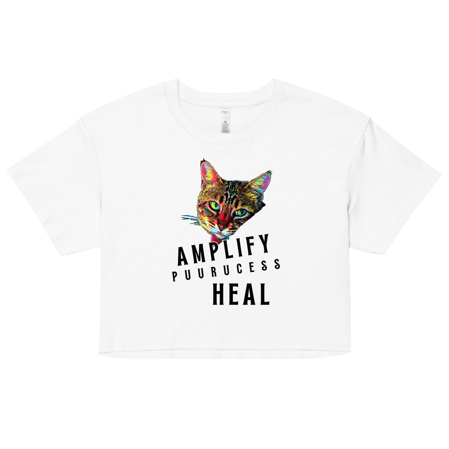 Amplify Women’s Crop Top - My Social Cat Bonafide Boutique LLCAmplify Women’s Crop Topcrop topMy Social Cat Bonafide Boutique LLCWhiteXSamplifycat