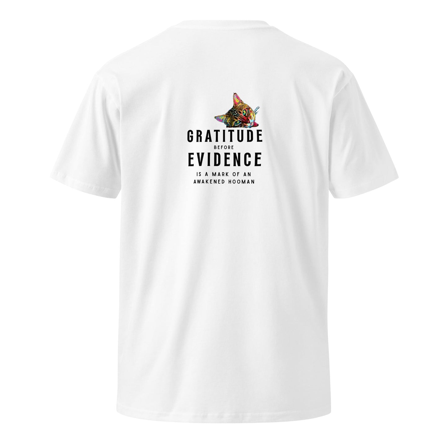 Gratitude Before Evidence Unisex Premium Tee - My Social Cat Bonafide Boutique LLCGratitude Before Evidence Unisex Premium TeeT-shirtMy Social Cat Bonafide Boutique LLCWhiteScatevidence