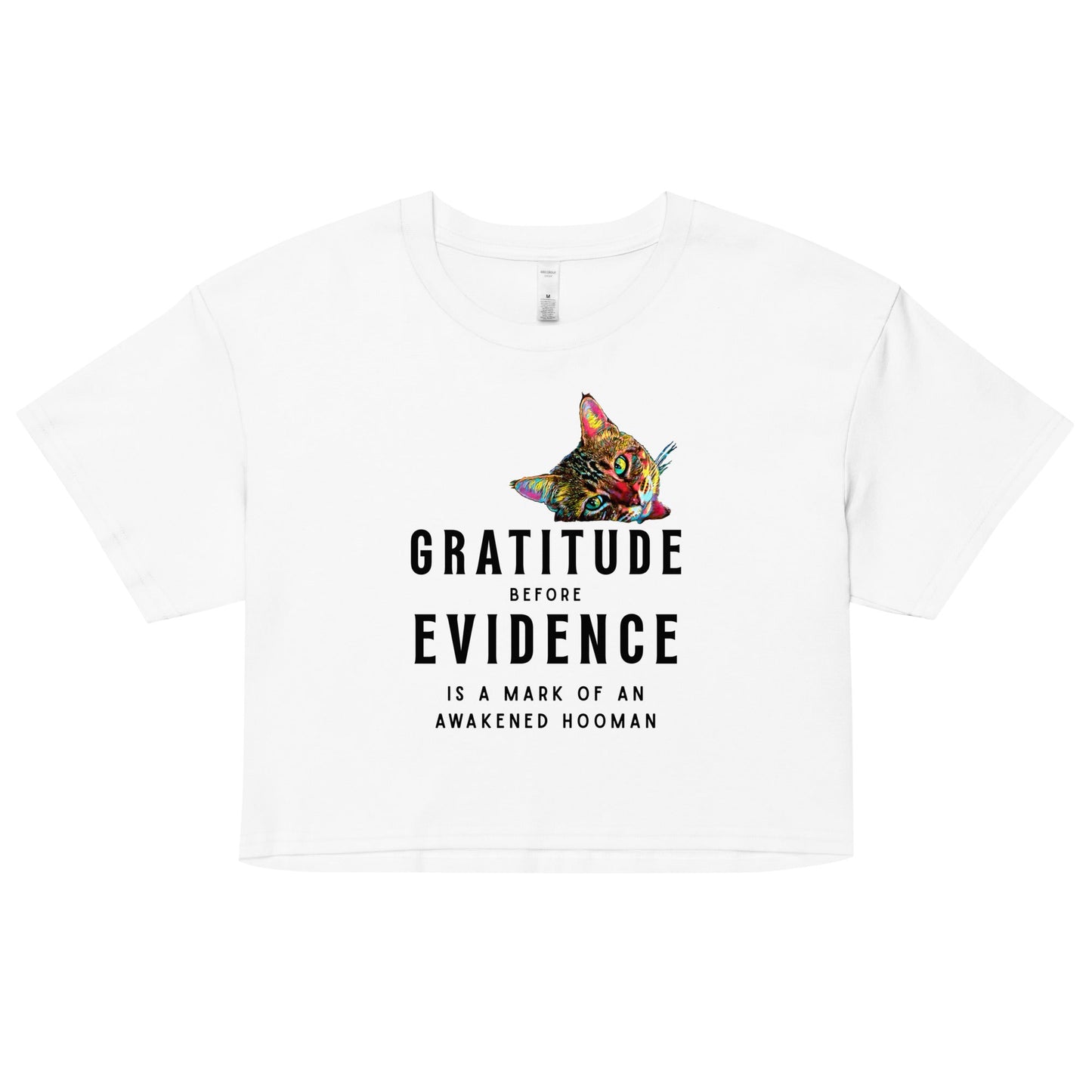 Gratitude before Evidence Women’s Crop Top - My Social Cat Bonafide Boutique LLCGratitude before Evidence Women’s Crop Topcrop topMy Social Cat Bonafide Boutique LLCWhiteXScatevidence