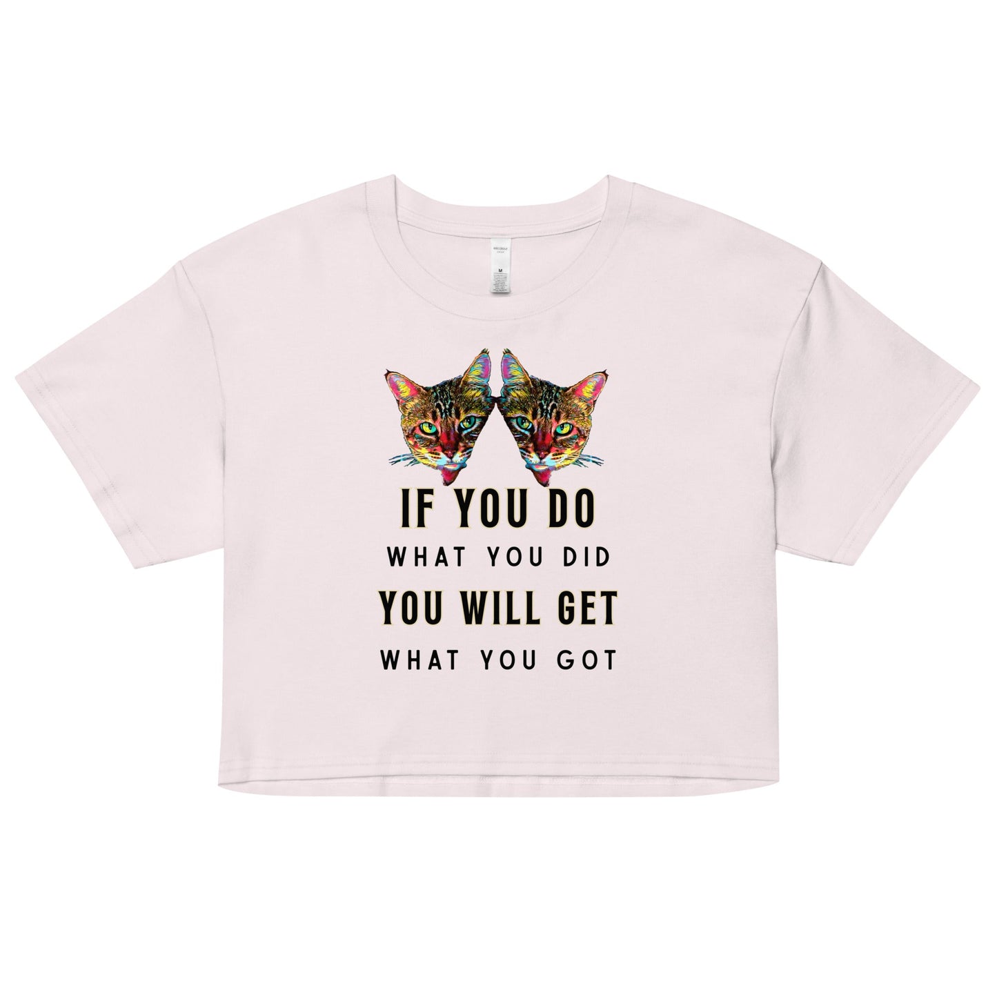 If You Do What You Did Women’s Crop Top - My Social Cat Bonafide Boutique LLCIf You Do What You Did Women’s Crop Topcrop topMy Social Cat Bonafide Boutique LLCOrchidXScatdid