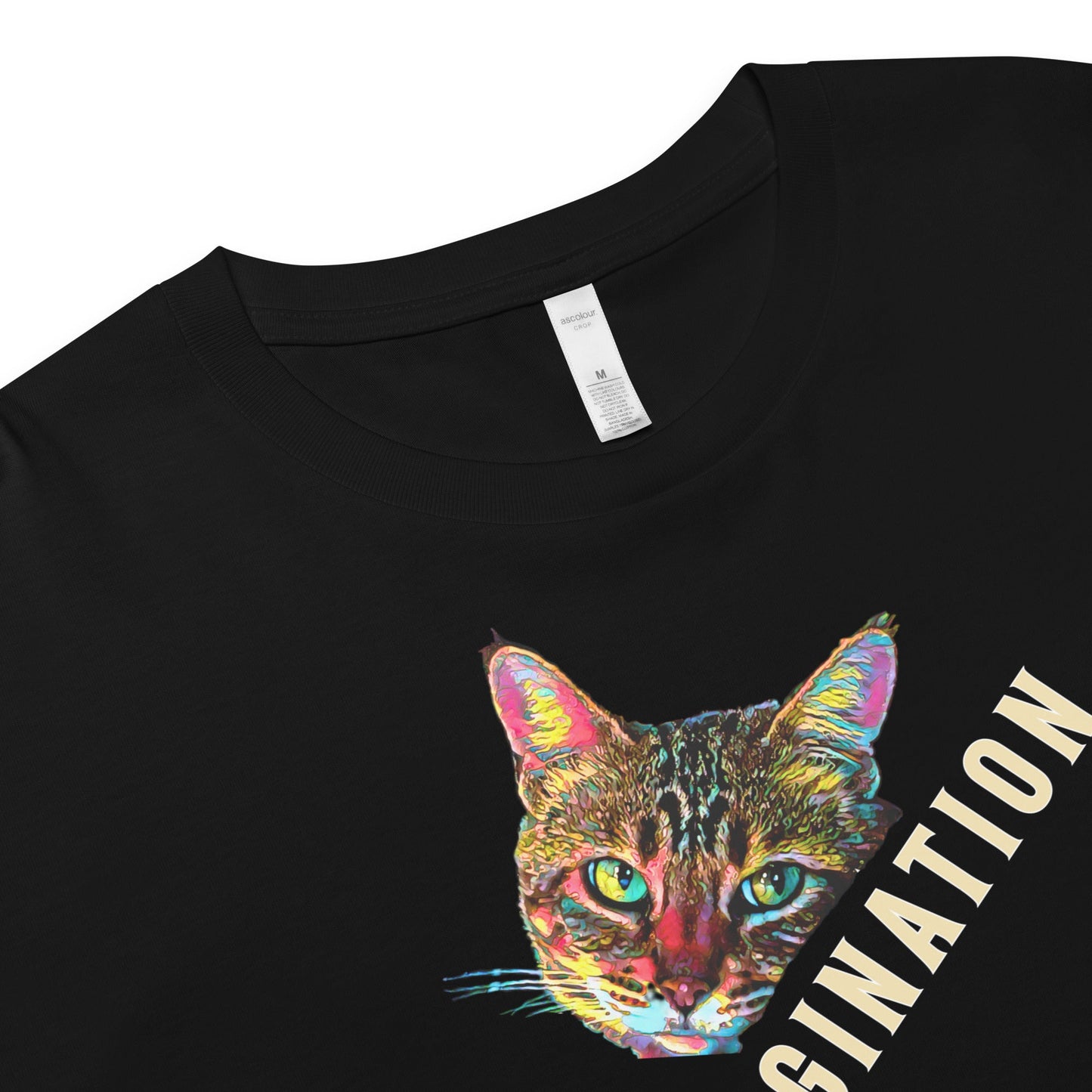 Imagination is Divine Command Women’s Crop Top - My Social Cat Bonafide Boutique LLCImagination is Divine Command Women’s Crop Topcrop topMy Social Cat Bonafide Boutique LLCBlackXScatcommand