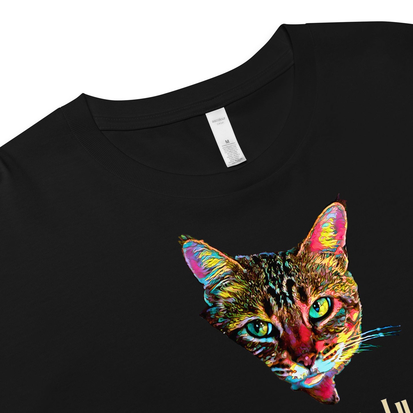 It's Feline Gods Women’s Crop Top - My Social Cat Bonafide Boutique LLCIt's Feline Gods Women’s Crop Topcrop topMy Social Cat Bonafide Boutique LLCBlackXScatcrop