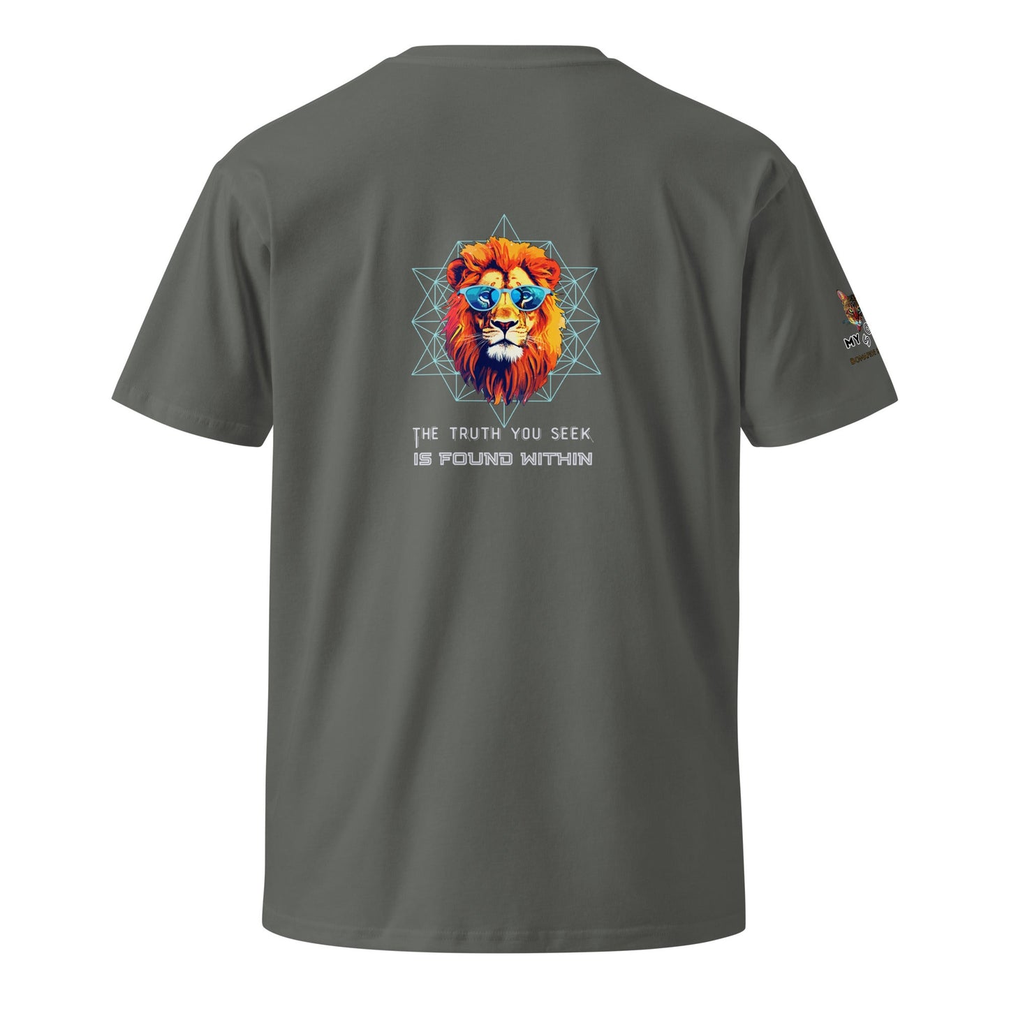 Truth You Seek Unisex Premium Tee - My Social Cat Bonafide Boutique LLCTruth You Seek Unisex Premium TeeT-shirtMy Social Cat Bonafide Boutique LLCCharcoalSlionpremium
