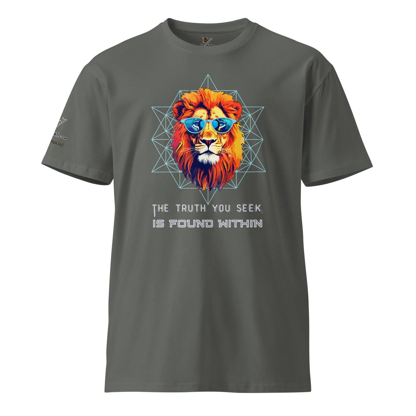 Truth You Seek Unisex Premium Tee - My Social Cat Bonafide Boutique LLCTruth You Seek Unisex Premium TeeT-shirtMy Social Cat Bonafide Boutique LLCCharcoalSlionpremium