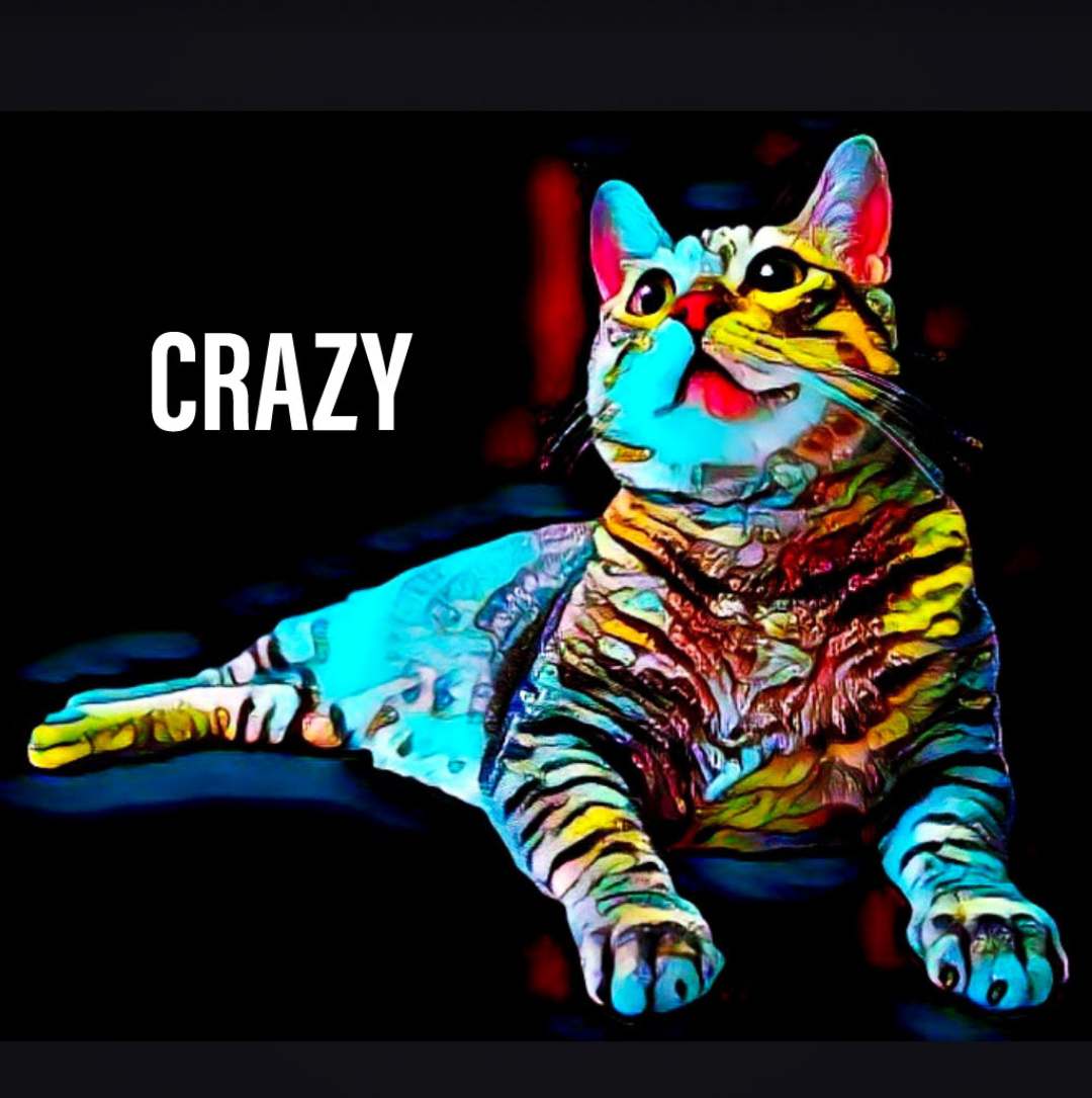 graphic photo of a cat looking up laying down, smiling, colorful blue yellow red, crazy effect, custom collection, mysocialcat.com