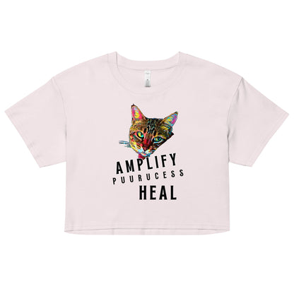 Amplify Women’s Crop Top - My Social Cat Bonafide Boutique LLCAmplify Women’s Crop Topcrop topMy Social Cat Bonafide Boutique LLCOrchidXSamplifycat