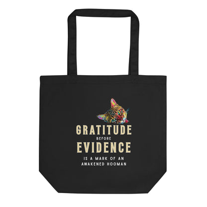 Gratitude Before Evidence Eco Organic Cotton Tote Bag - My Social Cat Bonafide Boutique LLC 
