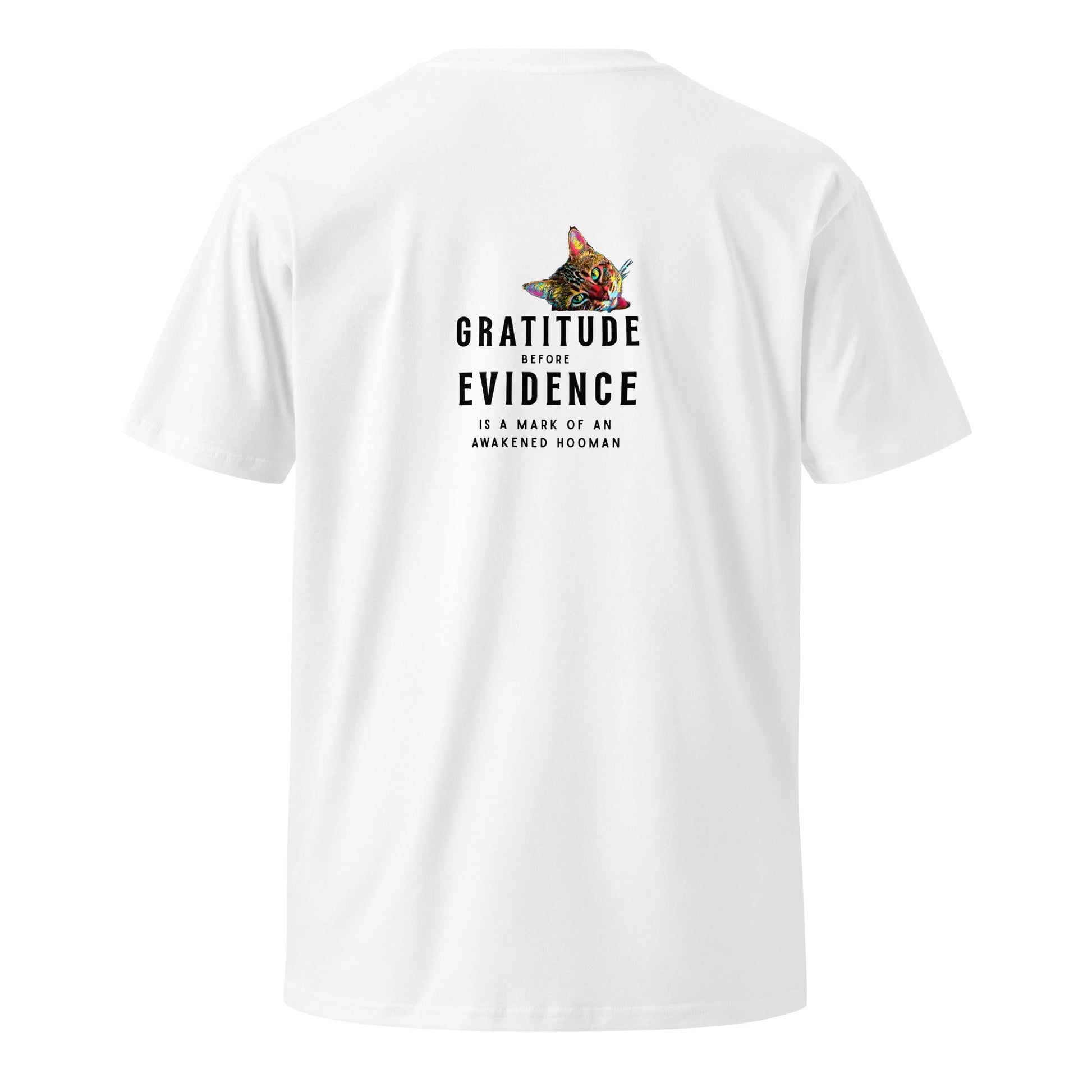 Gratitude Before Evidence Unisex Premium Tee - My Social Cat Bonafide Boutique LLCGratitude Before Evidence Unisex Premium TeeT-shirtMy Social Cat Bonafide Boutique LLCWhiteScatevidence