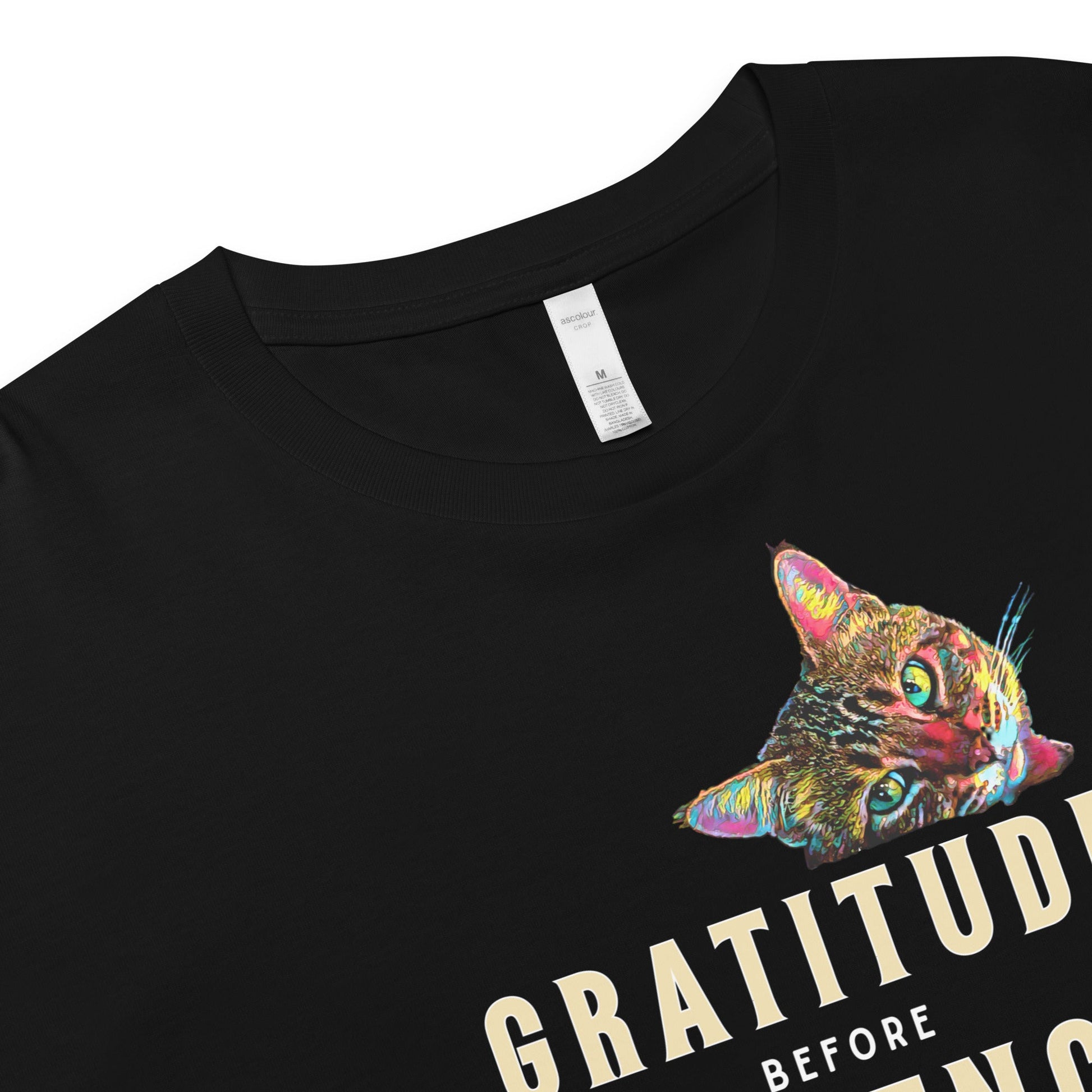 Gratitude before Evidence Women’s Crop Top - My Social Cat Bonafide Boutique LLCGratitude before Evidence Women’s Crop Topcrop topMy Social Cat Bonafide Boutique LLCBlackXScatevidence