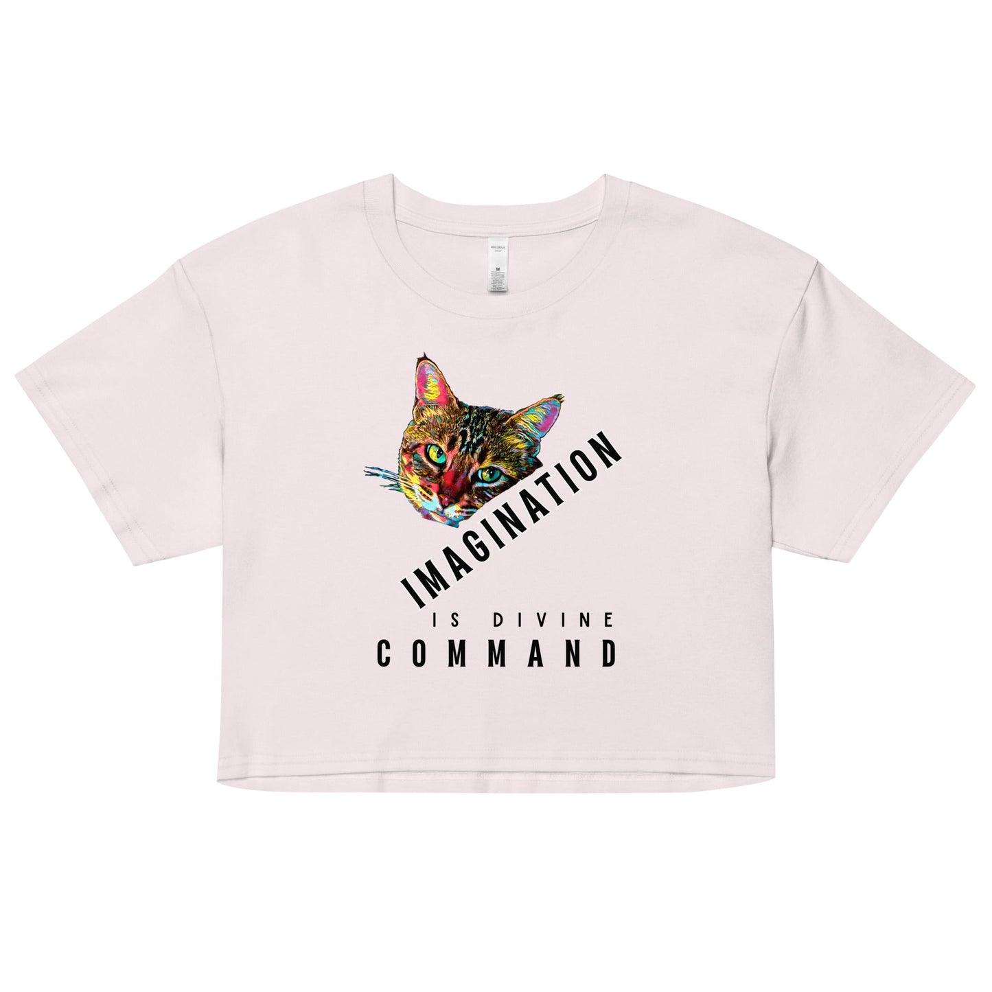 Imagination is Divine Command Women’s Crop Top - My Social Cat Bonafide Boutique LLCImagination is Divine Command Women’s Crop Topcrop topMy Social Cat Bonafide Boutique LLCOrchidXScatcommand