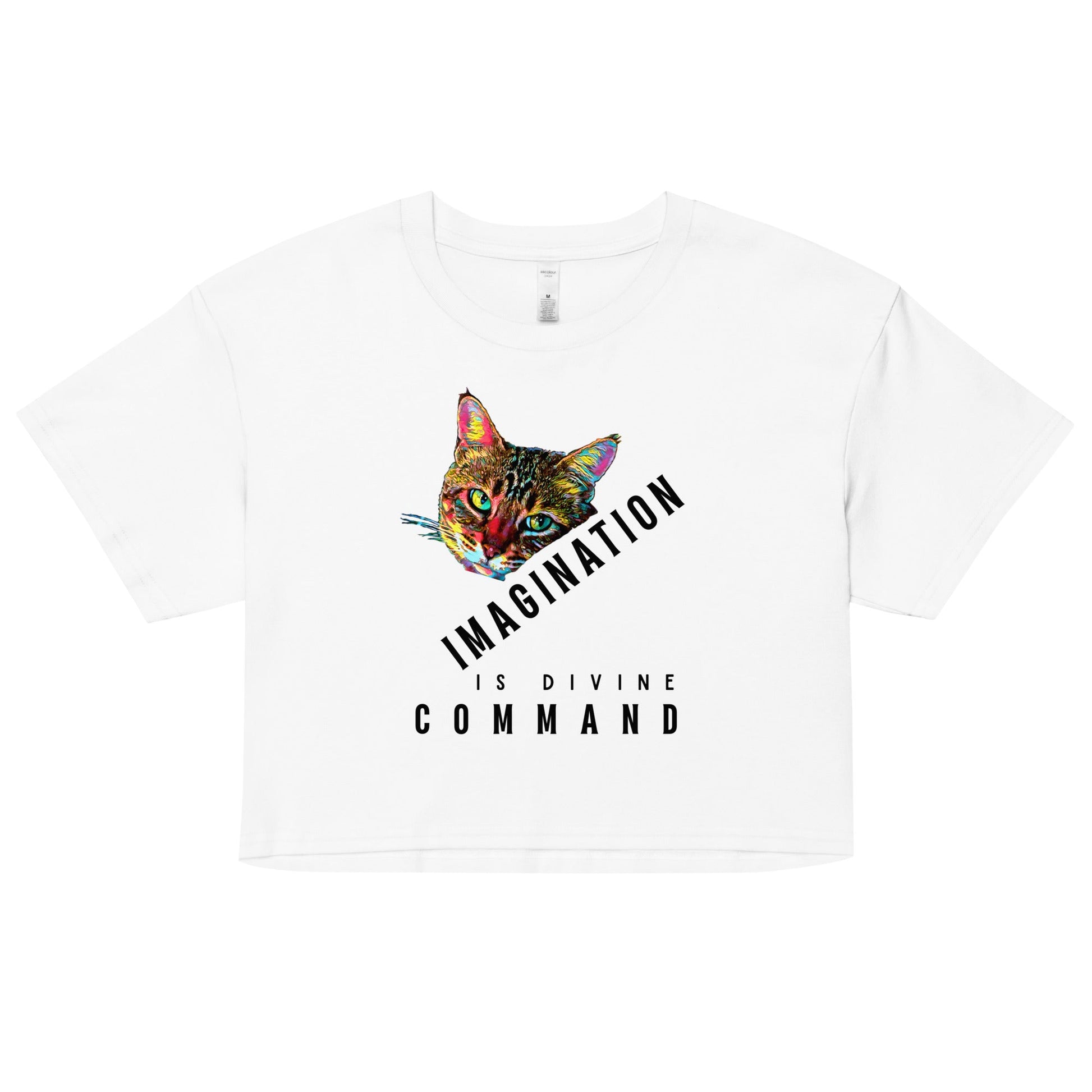 Imagination is Divine Command Women’s Crop Top - My Social Cat Bonafide Boutique LLCImagination is Divine Command Women’s Crop Topcrop topMy Social Cat Bonafide Boutique LLCWhiteXScatcommand