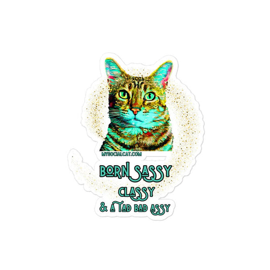 kiss cut stocker vinyl 4x4 cat