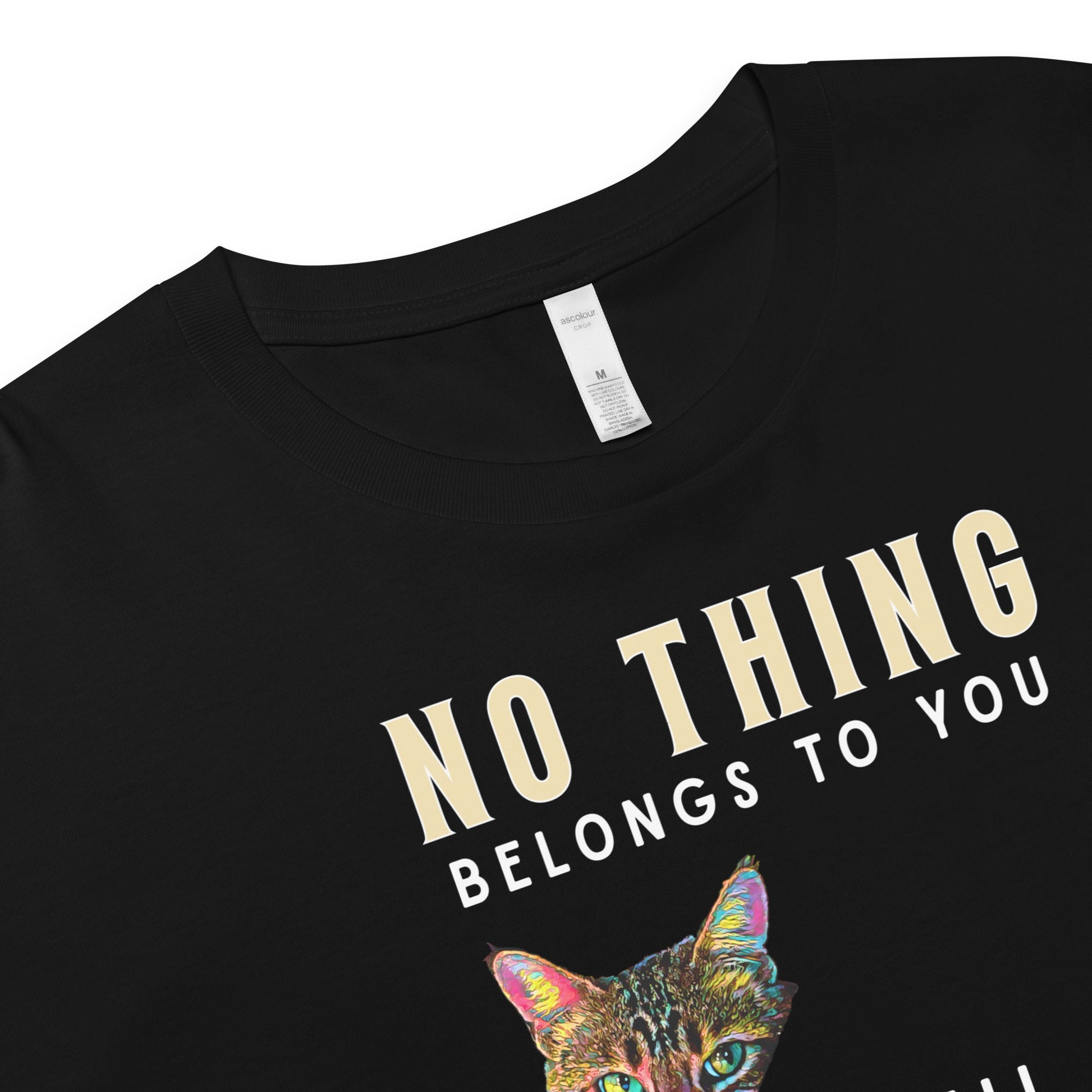 No Thing Belongs to You Women’s Crop Top - My Social Cat Bonafide Boutique LLCNo Thing Belongs to You Women’s Crop Topcrop topMy Social Cat Bonafide Boutique LLCBlackXSbelongscat