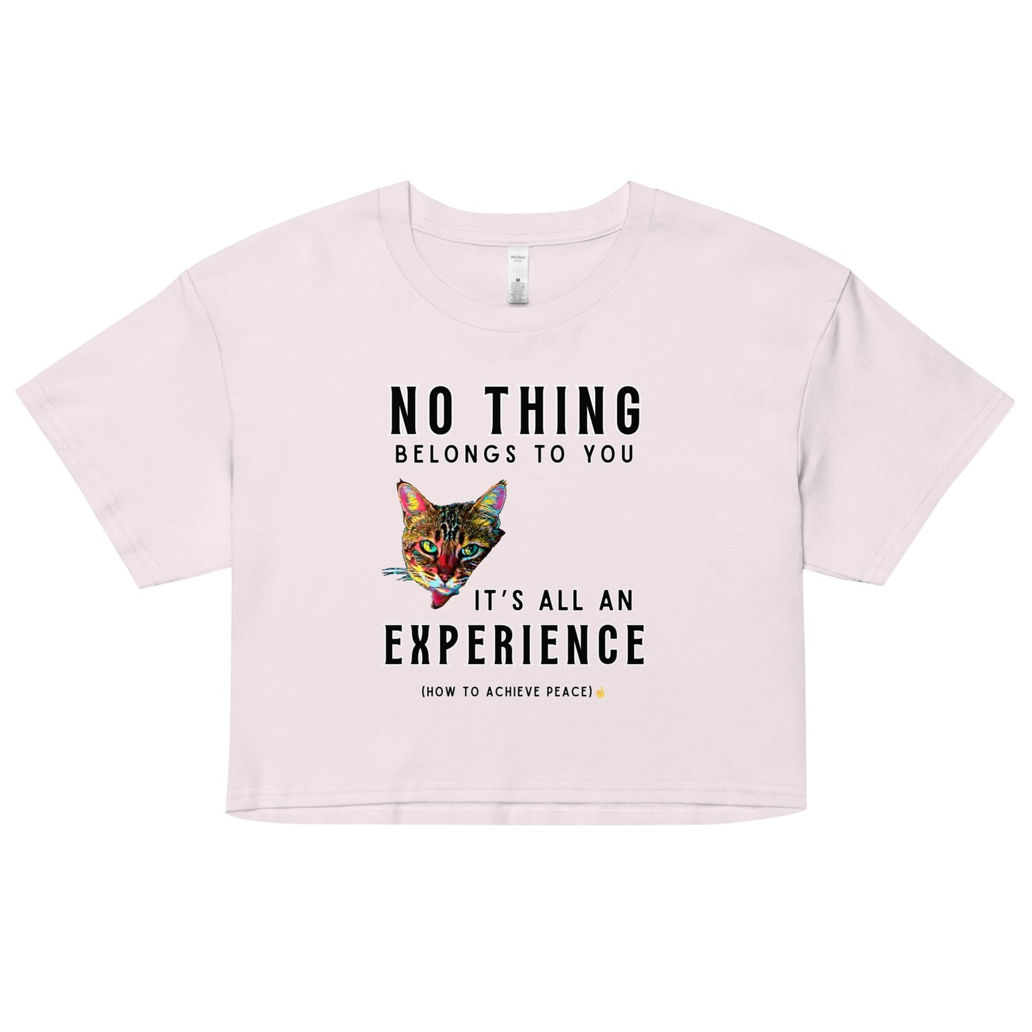 No Thing Belongs to You Women’s Crop Top - My Social Cat Bonafide Boutique LLCNo Thing Belongs to You Women’s Crop Topcrop topMy Social Cat Bonafide Boutique LLCOrchidXSbelongscat