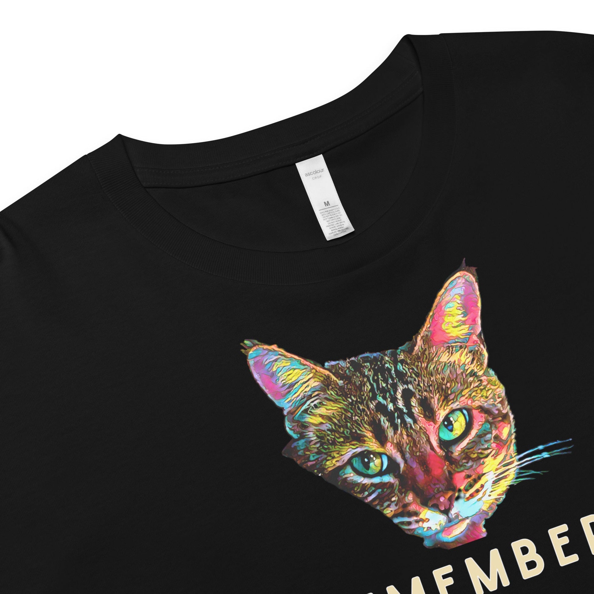 Remember Who You Are Women’s crop top - My Social Cat Bonafide Boutique LLCRemember Who You Are Women’s crop topcrop topMy Social Cat Bonafide Boutique LLCBlackXScatcrop
