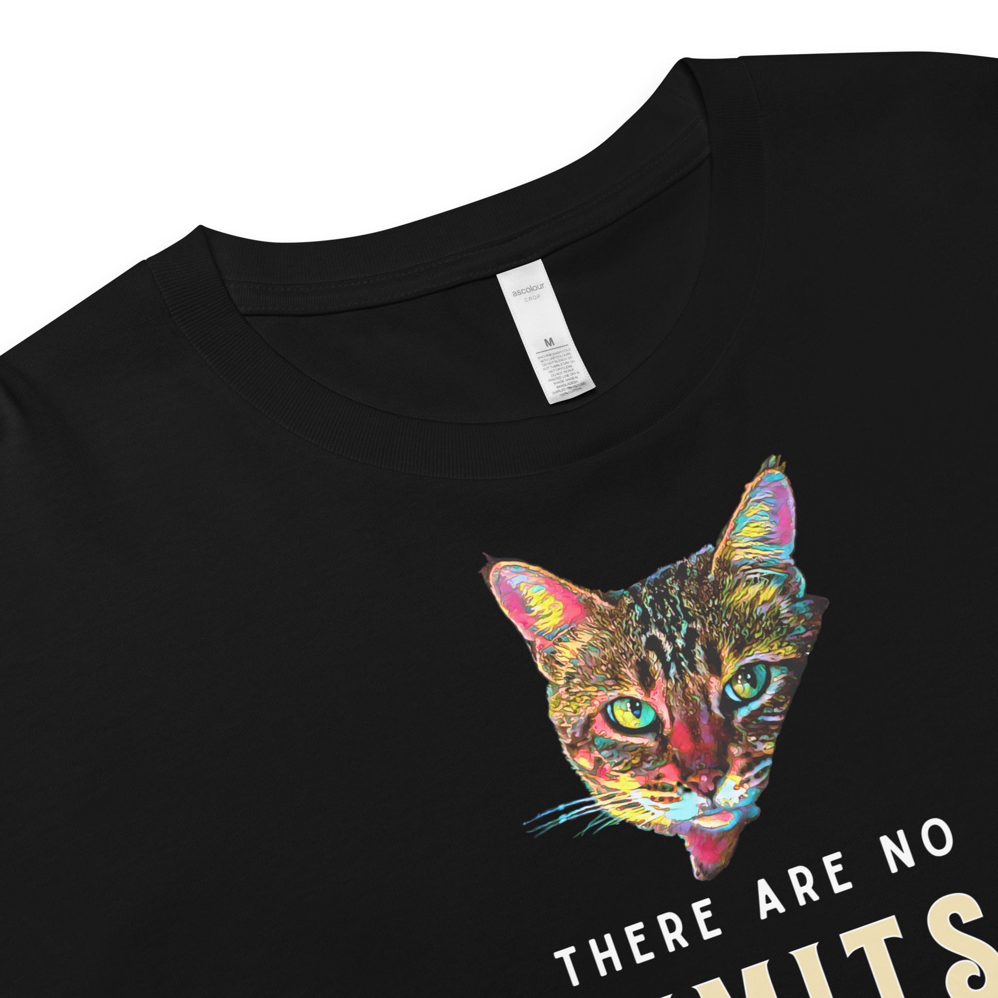 There Are No Limits Women’s Crop Top - My Social Cat Bonafide Boutique LLCThere Are No Limits Women’s Crop Topcrop topMy Social Cat Bonafide Boutique LLCBlackXScatlimits