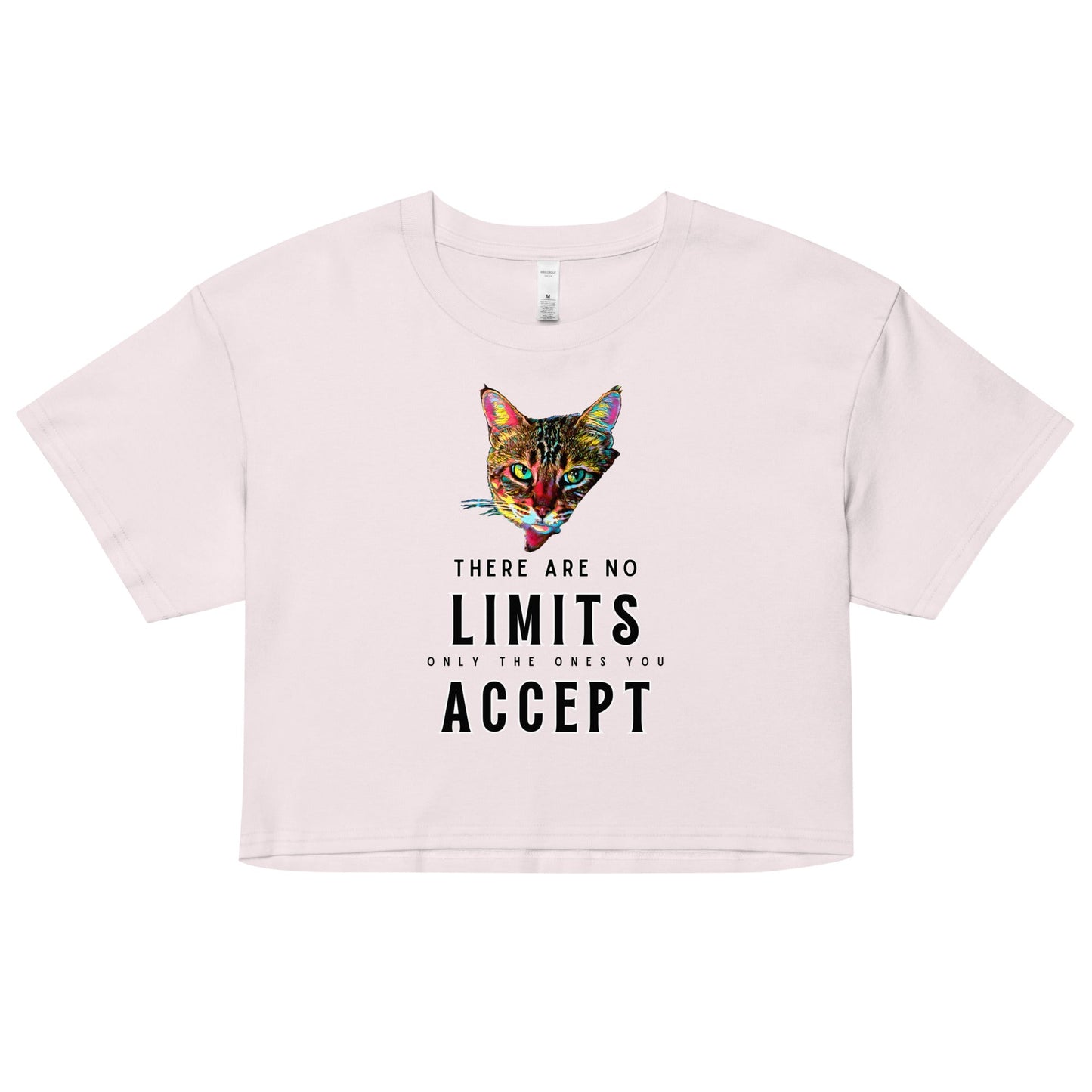 There Are No Limits Women’s Crop Top - My Social Cat Bonafide Boutique LLCThere Are No Limits Women’s Crop Topcrop topMy Social Cat Bonafide Boutique LLCOrchidXScatlimits