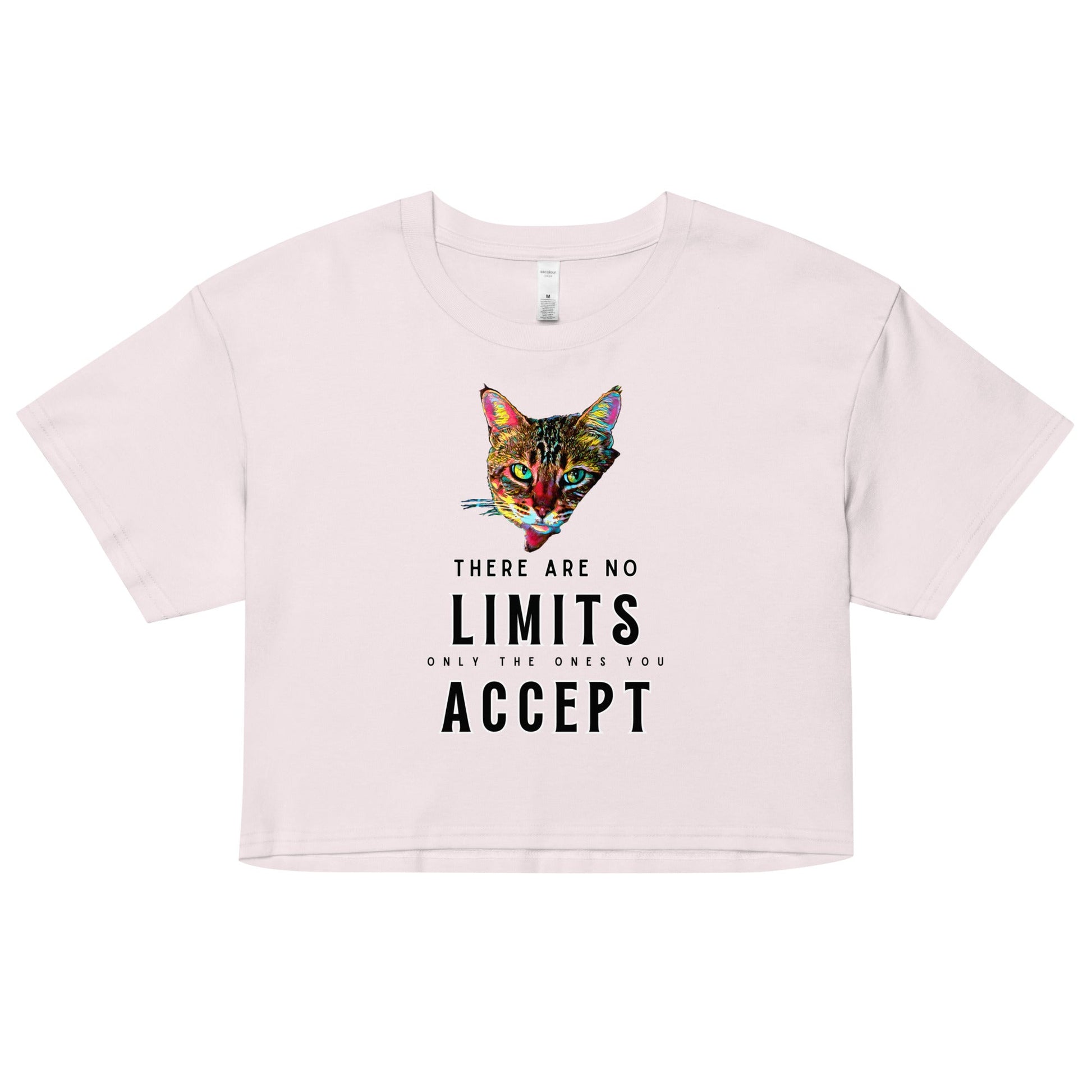 There Are No Limits Women’s Crop Top - My Social Cat Bonafide Boutique LLCThere Are No Limits Women’s Crop Topcrop topMy Social Cat Bonafide Boutique LLCOrchidXScatlimits