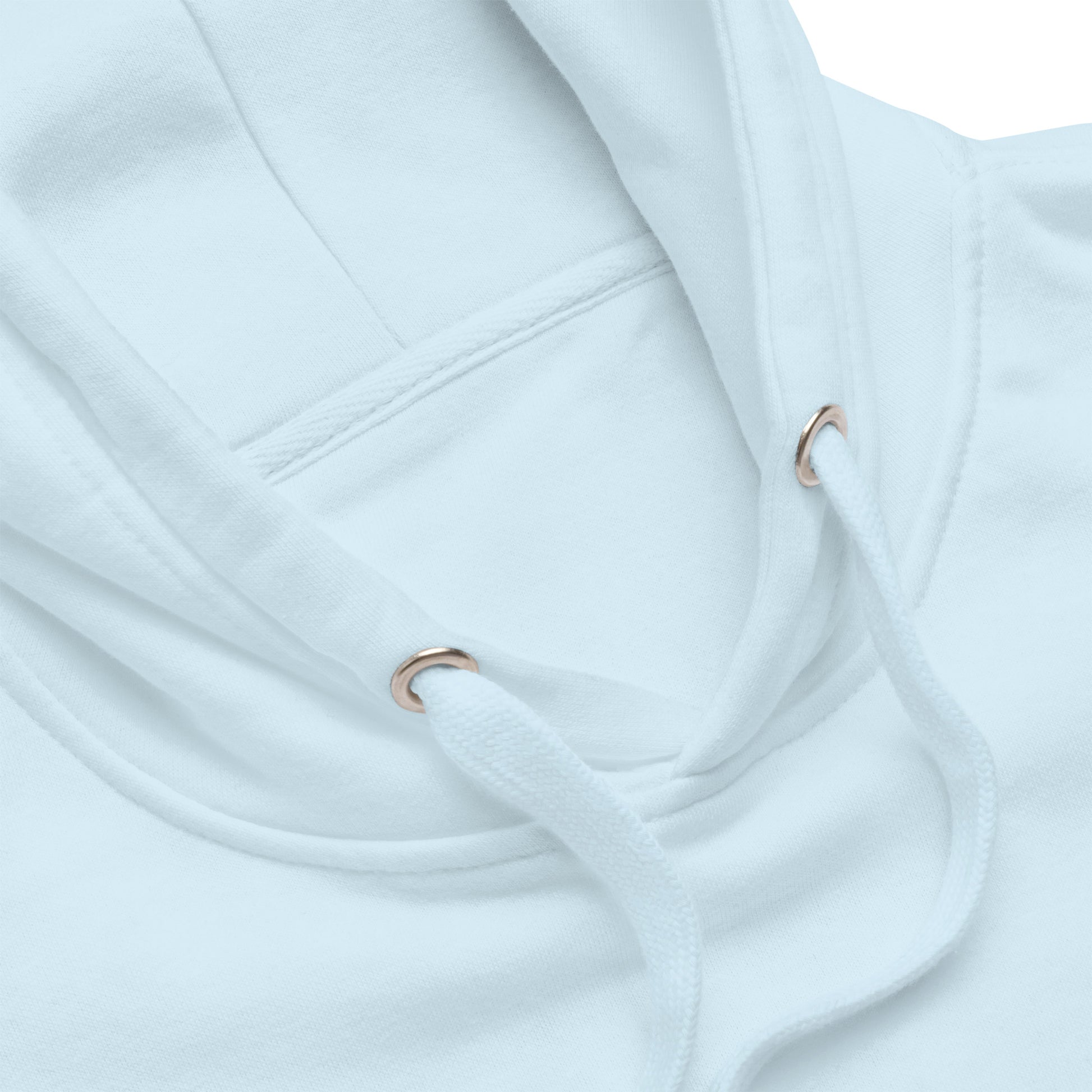 unisex-premium-hoodie-sky-blue-product-details-669f42f69ec9b trump fight