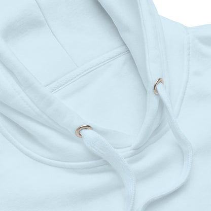 unisex-premium-hoodie-sky-blue-product-details-669f42f69ec9b trump fight