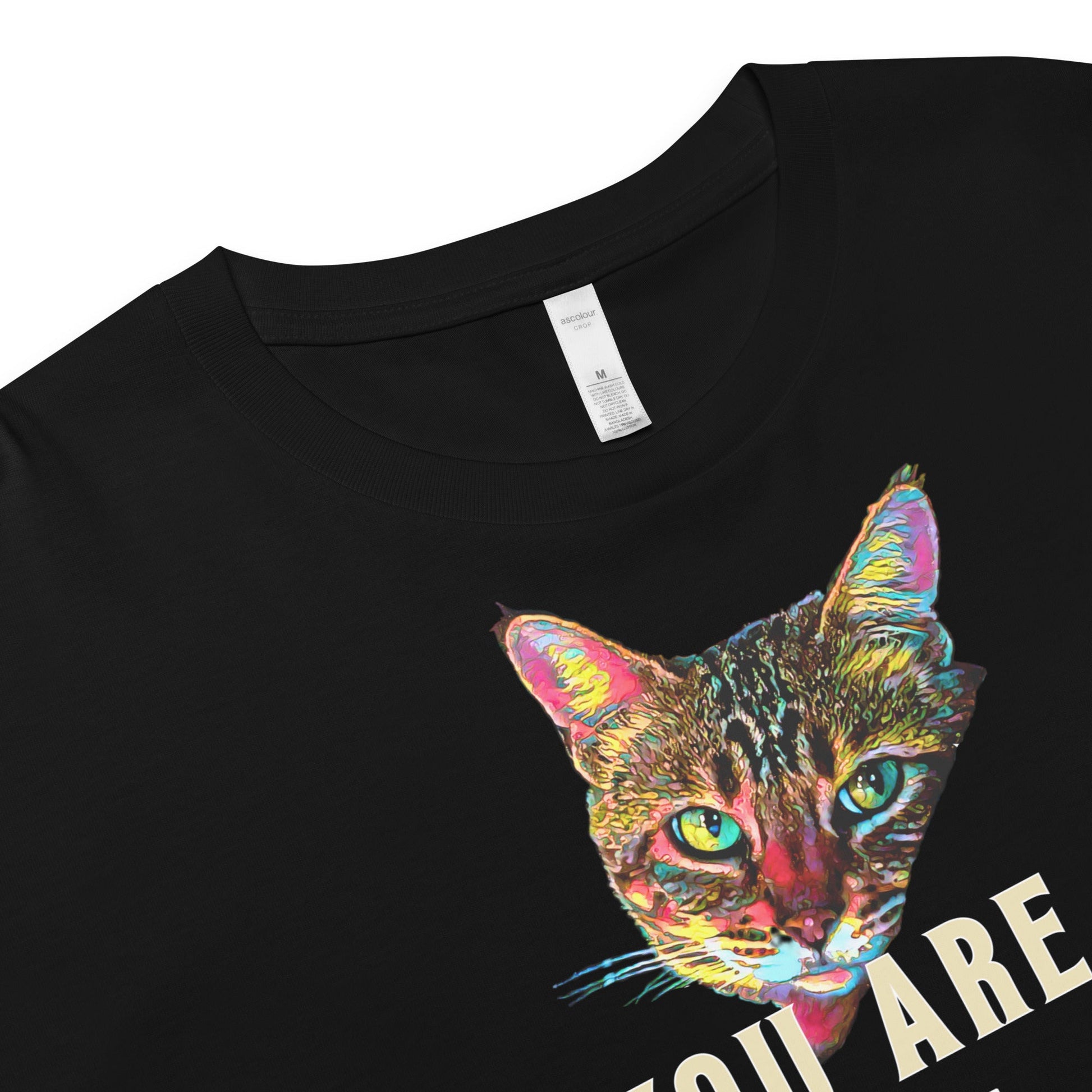 You are What You Seek Women’s Crop Top - My Social Cat Bonafide Boutique LLCYou are What You Seek Women’s Crop Topcrop topMy Social Cat Bonafide Boutique LLCBlackXSarecat